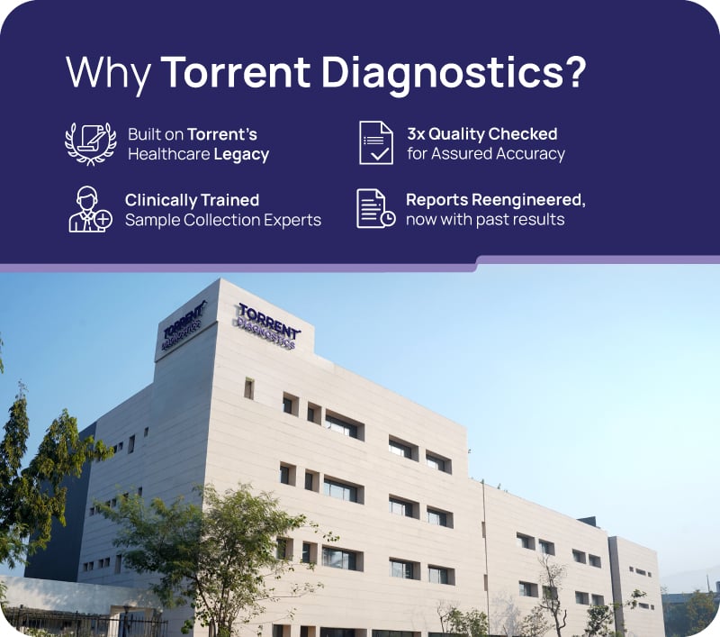 Why Torrent Diagnostics Banner